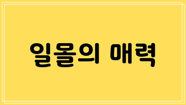 일몰의 매력