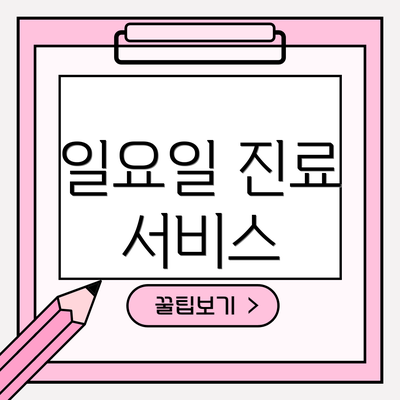 일요일 진료 서비스