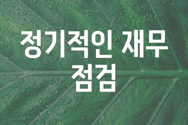 정기적인 재무 점검