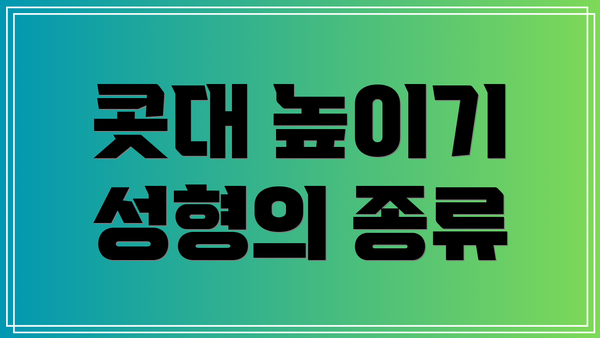콧대 높이기 성형의 종류