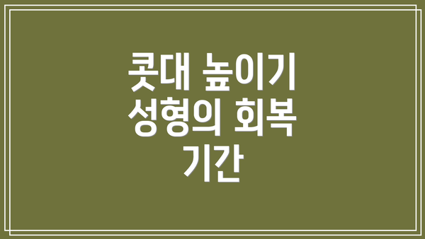 콧대 높이기 성형의 회복 기간