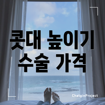 콧대 높이기 수술 가격