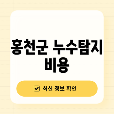 홍천군 누수탐지 비용
