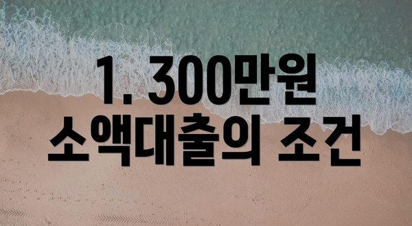 1. 300만원 소액대출의 조건