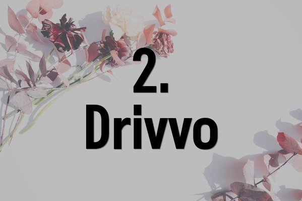 2. Drivvo