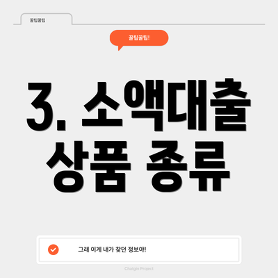 3. 소액대출 상품 종류