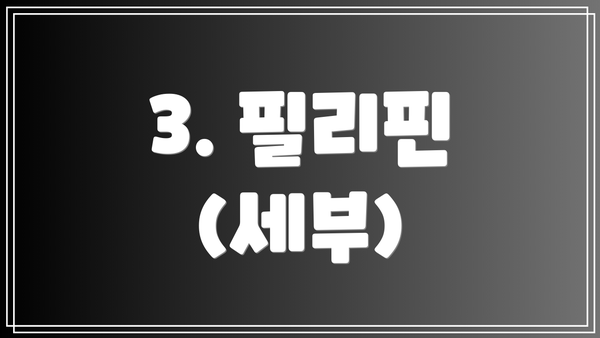 3. 필리핀 (세부)