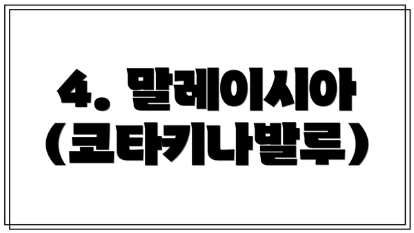 4. 말레이시아 (코타키나발루)