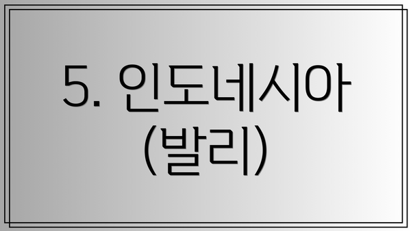 5. 인도네시아 (발리)