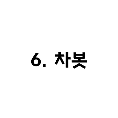 6. 차봇
