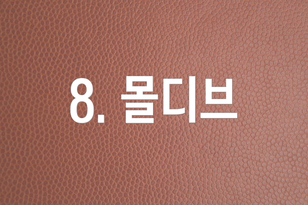 8. 몰디브