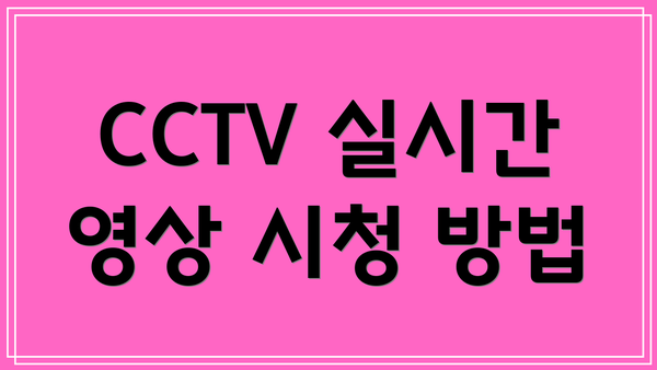 CCTV 실시간 영상 시청 방법