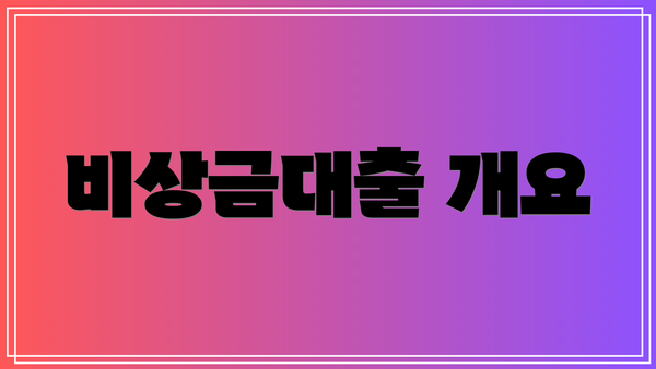비상금대출 개요