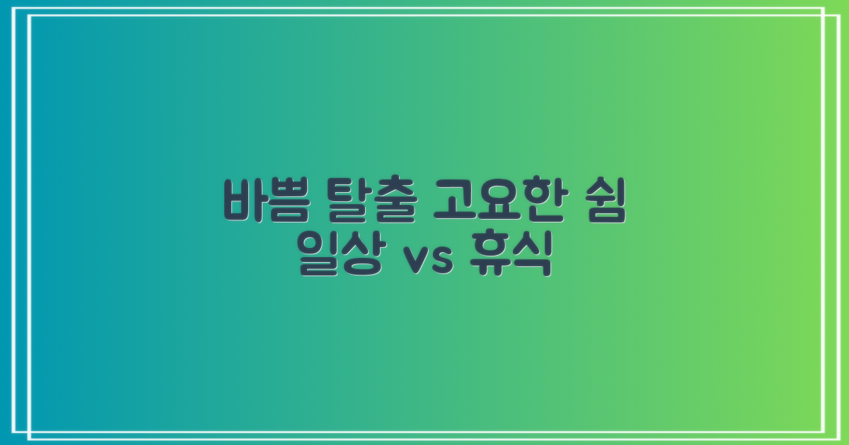 바쁜 일상 vs 고요한 휴식