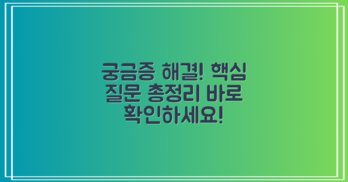 자주 묻는 질문